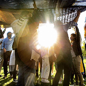 Lab/Shul Yom Kippur Offerings