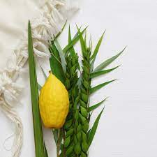 Lulav and Etrog