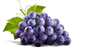 Wine Kiddush