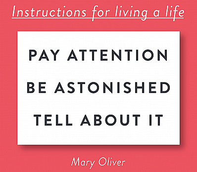 Instructions for Living a Life