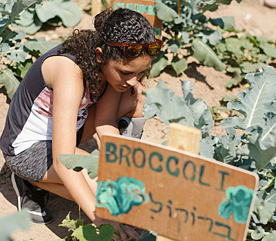 Social Action Guide for the High Holidays