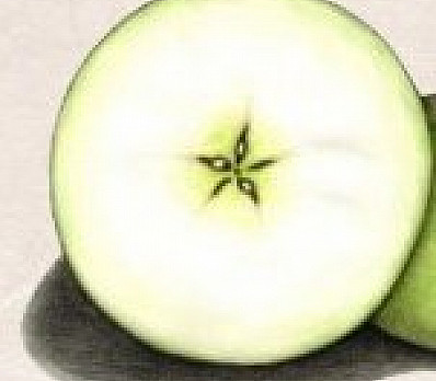 The Apple Finds its Star