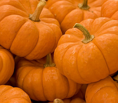 A Story of Two Brothers (and a Pumpkin)