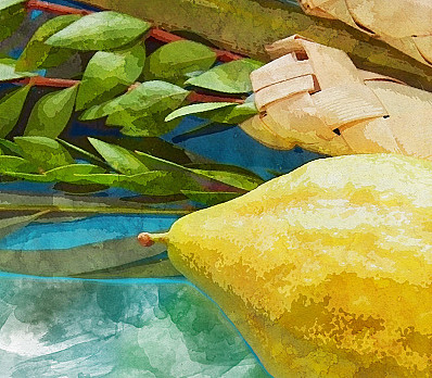 Unlocking Sukkot: A Cheat Sheet