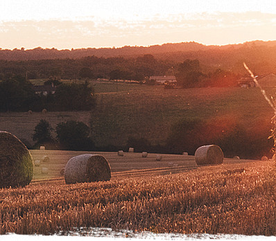 Sukkot Journal Questions