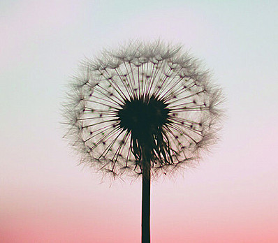 7 Ways to Be More Mindful in Elul