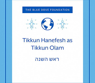Tikkun Hanefesh as Tikkun Olam